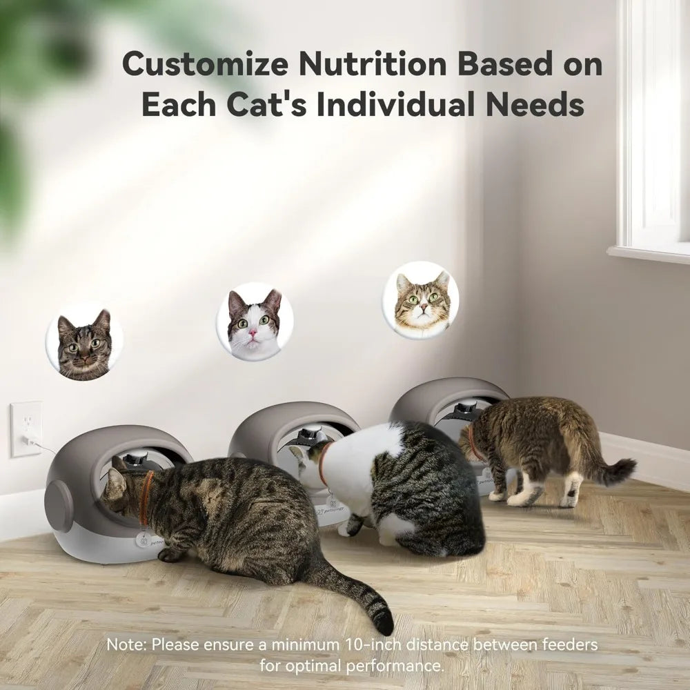 Automatic Cat Feeder with Collar Sensor, Timed Food Dispenser