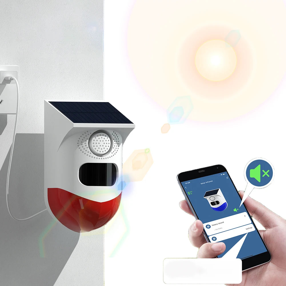 Solar Motion Sensor Alarm with Remote Control