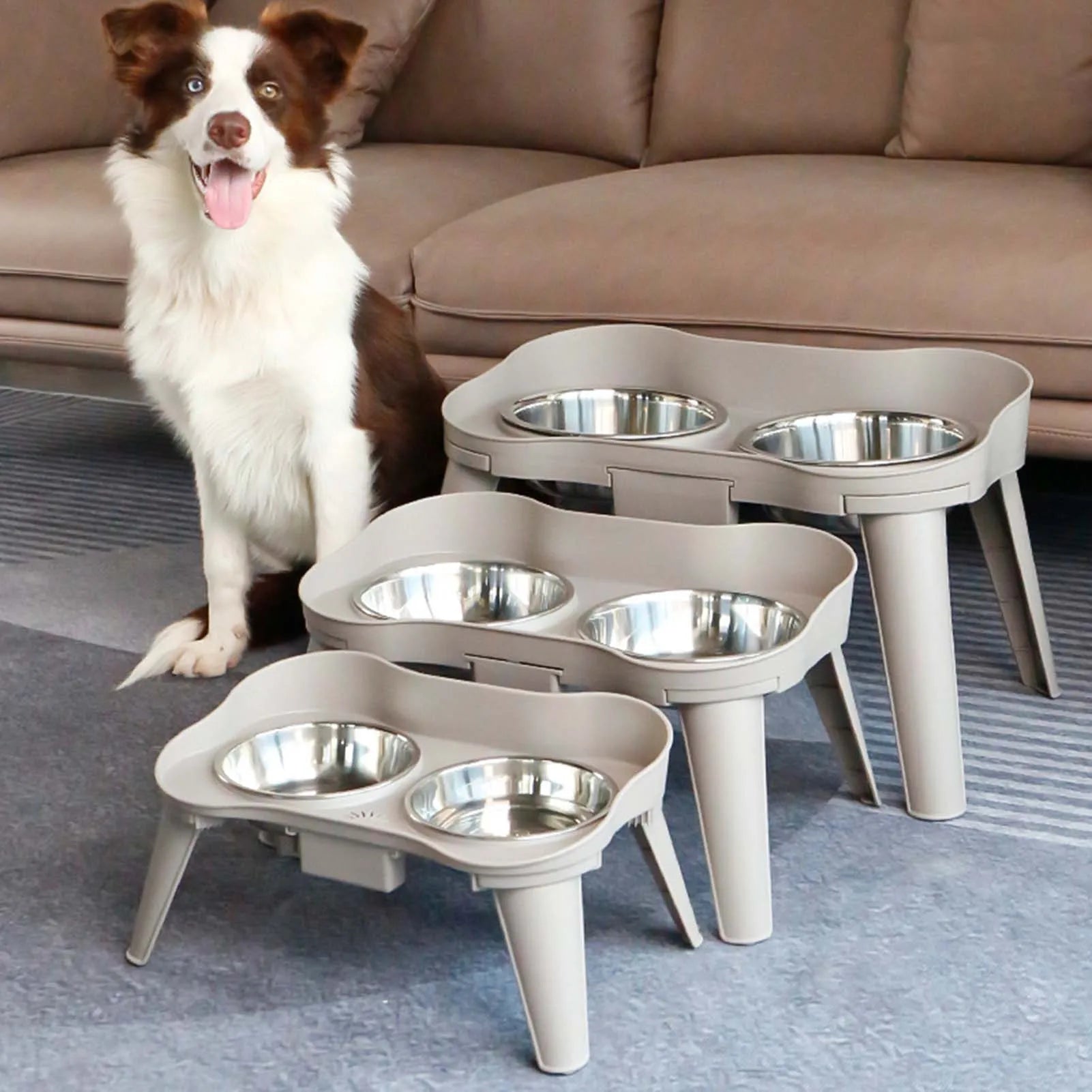 Stainless Steel Elevated Dog Bowl – Non-Slip, No Spill Design